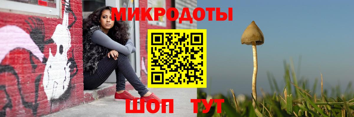 Галлюциногенные грибы мухоморы Великий Устюг